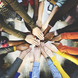 collaborate